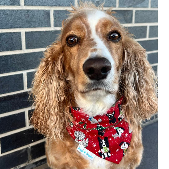 Sparkly Christmas Pup Dog Bandana - Briggs 'n' Wiggles - Briggs 'n' Wiggles