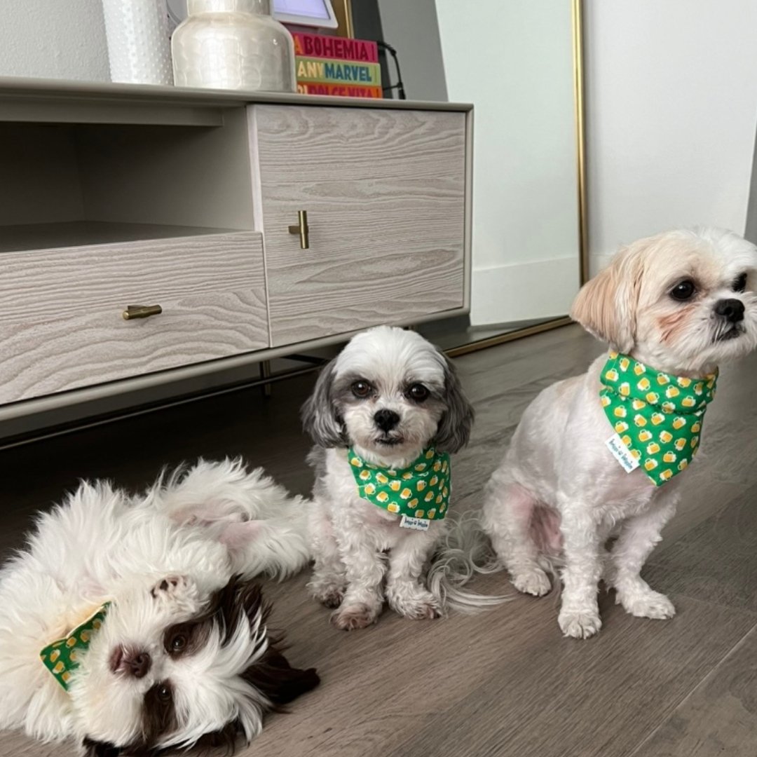 St. Patrick's Day Irish Beer Dog Bandana - Briggs 'n' Wiggles