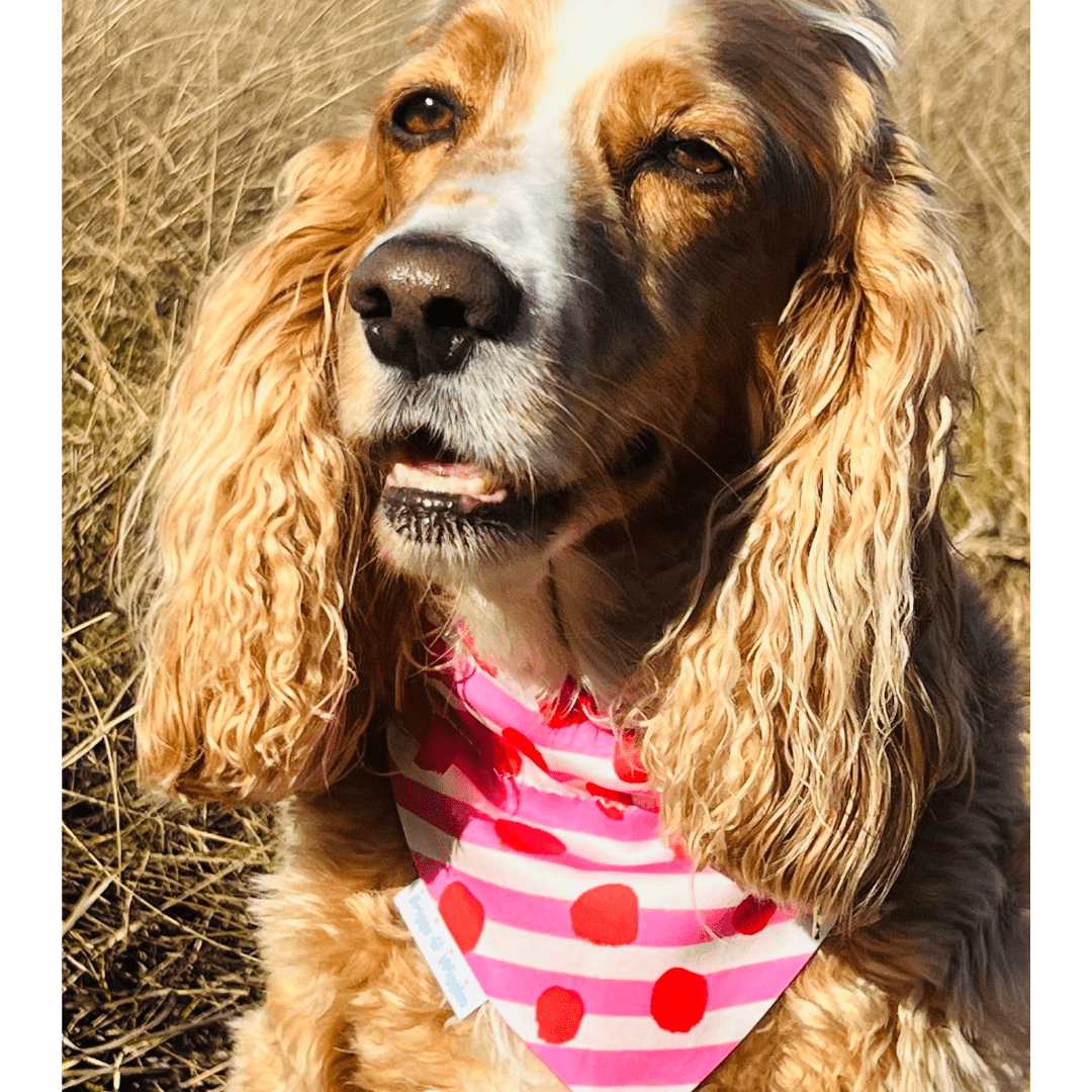 Sweetheart Stripes Valentine's Day Dog bandana - Pink & Red - Briggs 'n' Wiggles