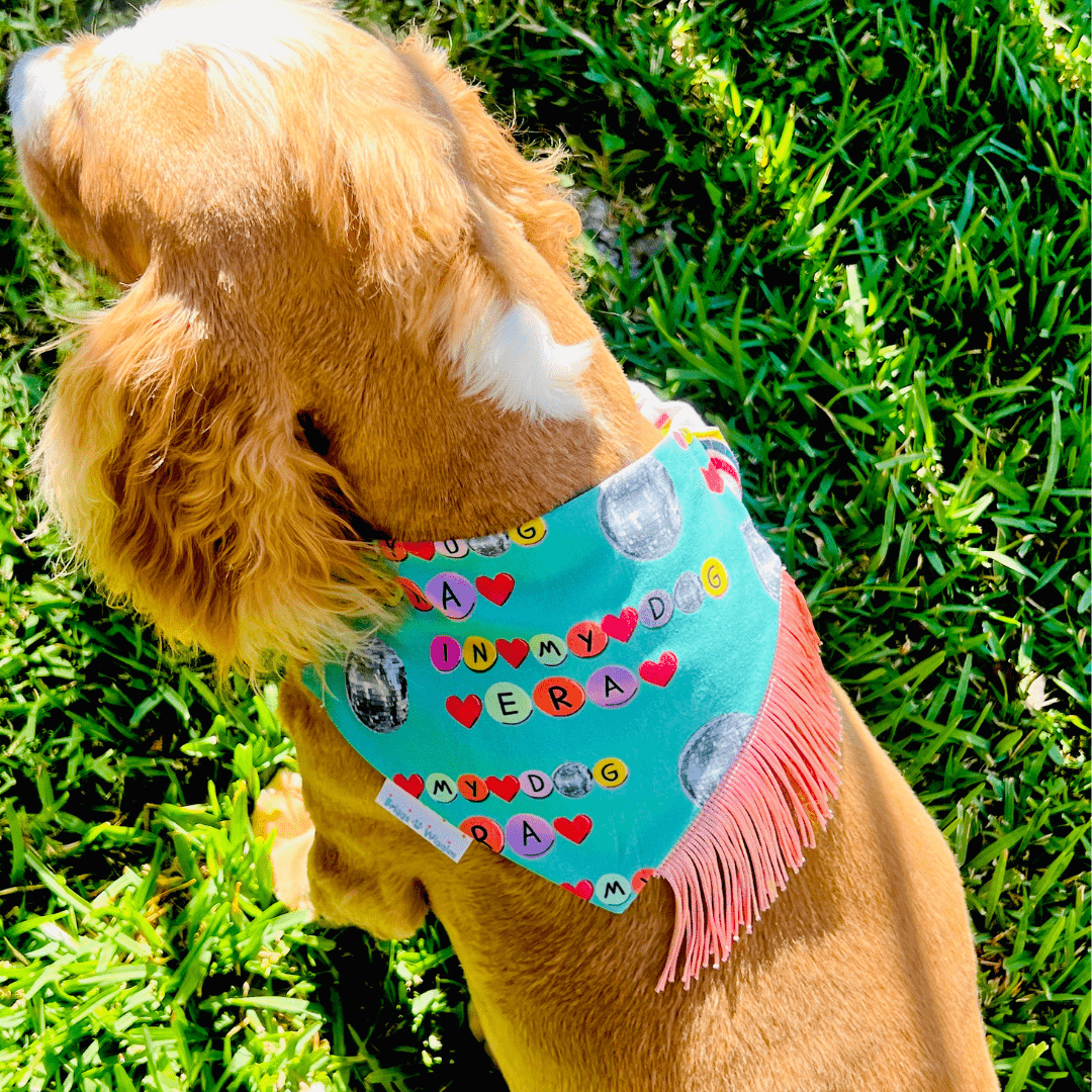 Taylor Swift "In My Dog Era" Limited Edition Dog Bandana - Pink Fringe & Rainbows - Briggs 'n' Wiggles