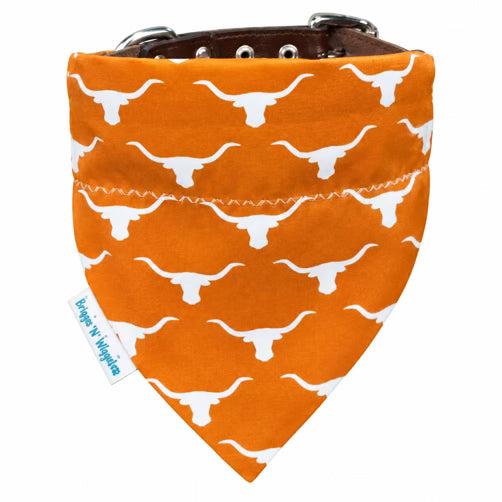 Burnt orange and white Texas dog bandana with longhorn design for Austin game days, college football season and tailgates.