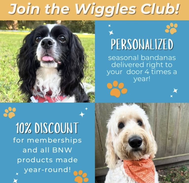 The Wiggles Club Membership - Briggs 'n' Wiggles