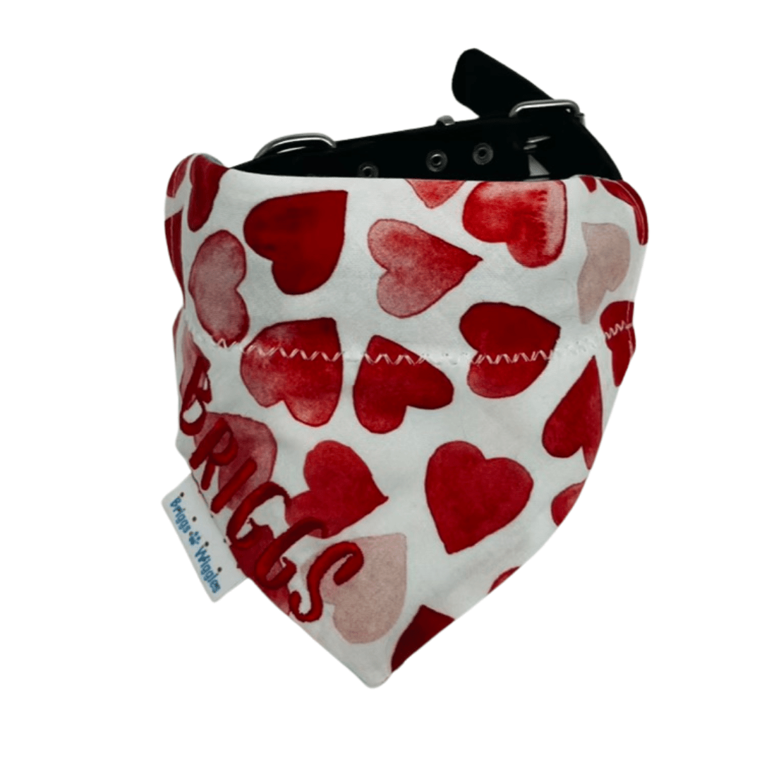 The Wiggles Club Quarterly Membership - Briggs 'n' Wiggles