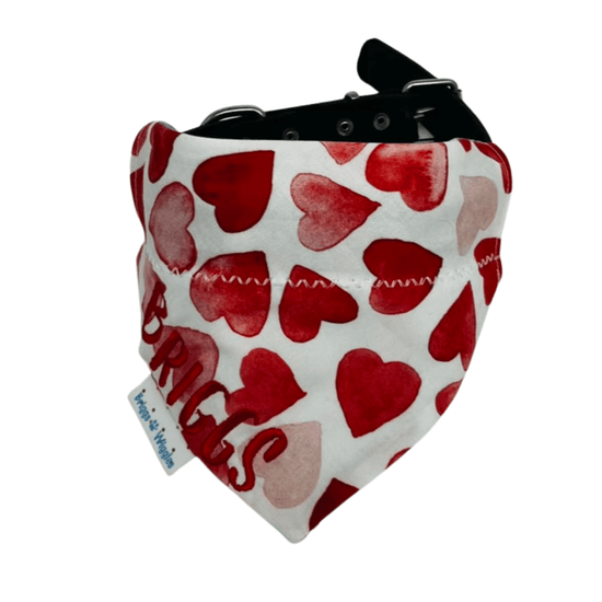 The Wiggles Club Quarterly Membership - Briggs 'n' Wiggles