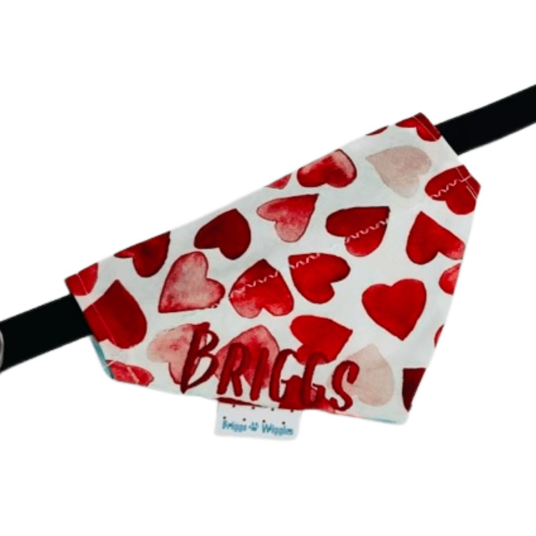 The Wiggles Club Quarterly Membership - Briggs 'n' Wiggles