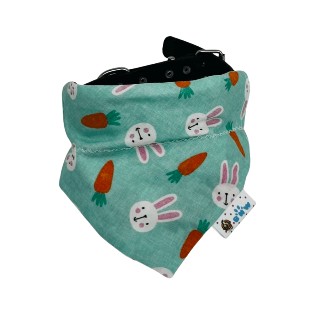 The Wiggles Club Quarterly Membership - Briggs 'n' Wiggles