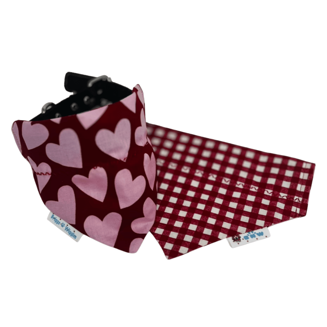 Valentine Hearts Dog Bandana – Red & Pink - Briggs 'n' Wiggles