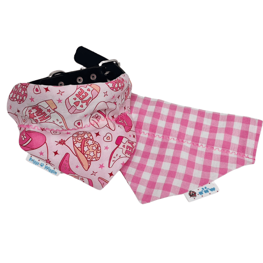 Yeehaw Pink Cowgirl Rodeo Reversible Dog Bandana - Briggs 'n' Wiggles