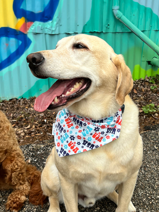Load image into Gallery viewer, Groovy USA Dog Bandana with Red White and Blue with groovy flowers. Labrador Retriever wearing a Large. 
