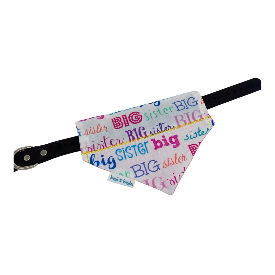 Big Sister Over the Collar Dog Bandana - Briggs 'n' Wiggles