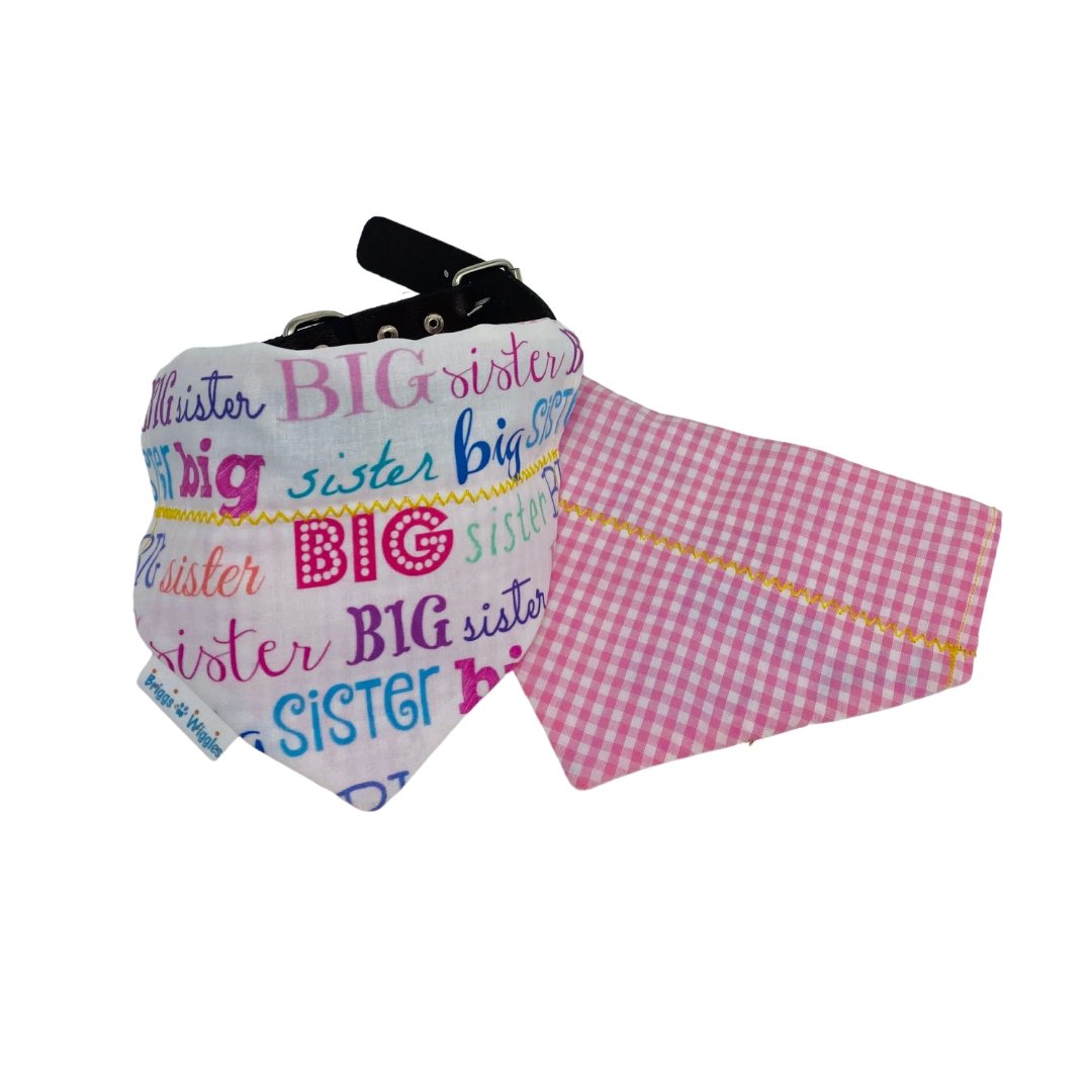 Big Sister Over the Collar Dog Bandana - Briggs 'n' Wiggles