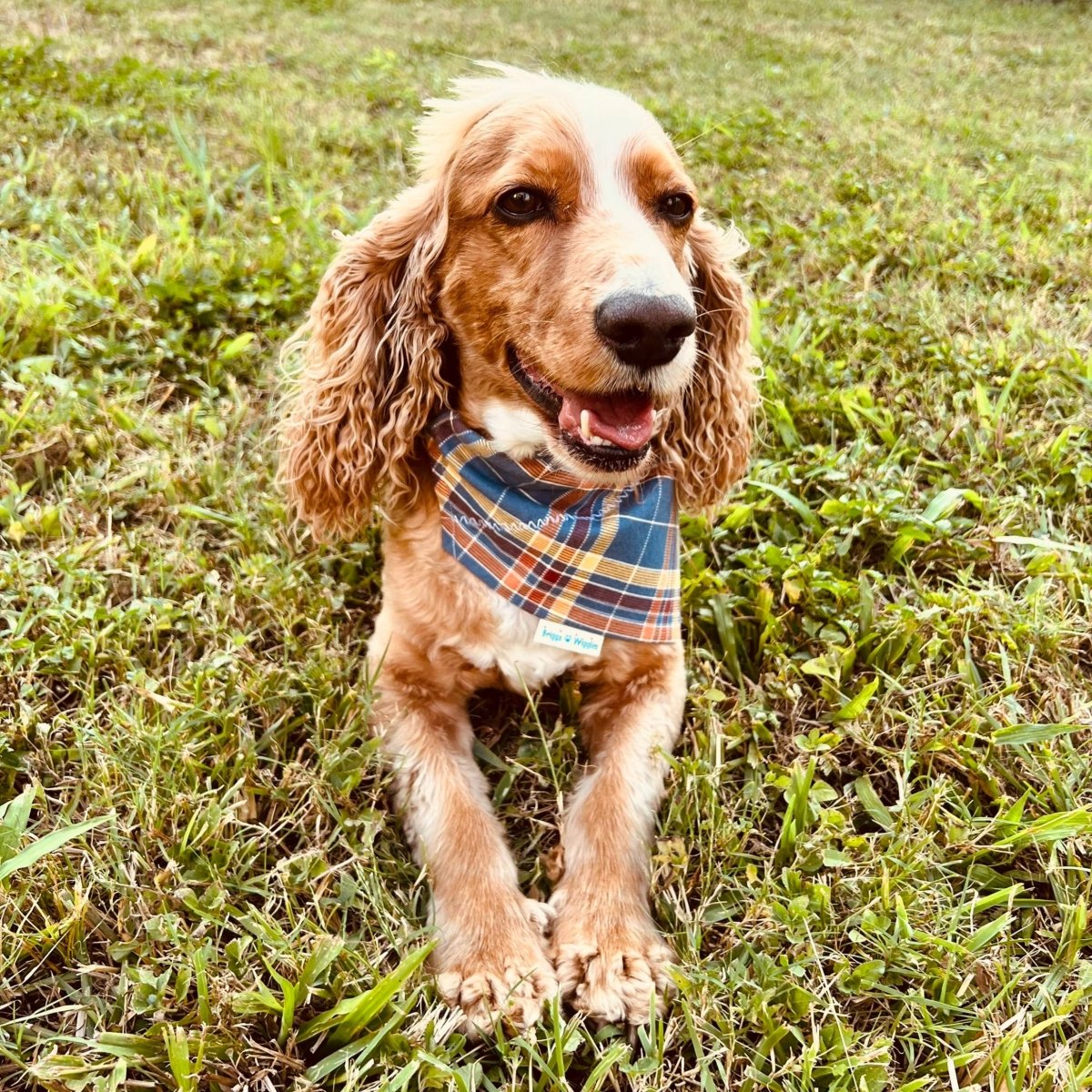 Blue Fall Plaid Flannel Dog Bandana - Briggs 'n' Wiggles