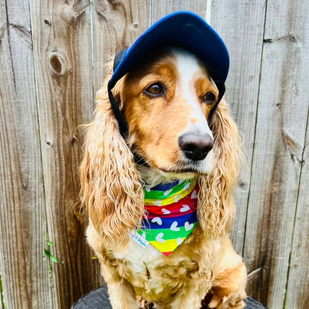 Celebrate Pride Dog Bandana - Briggs 'n' Wiggles