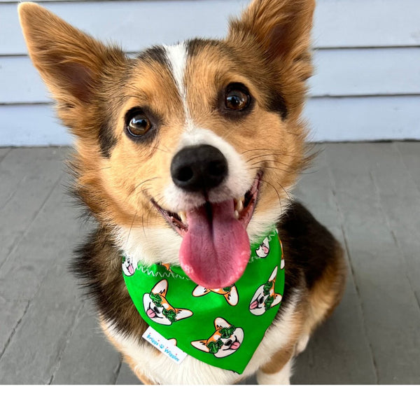 Corgi Shamrock Glasses Dog Bandana Green Lucky Pet