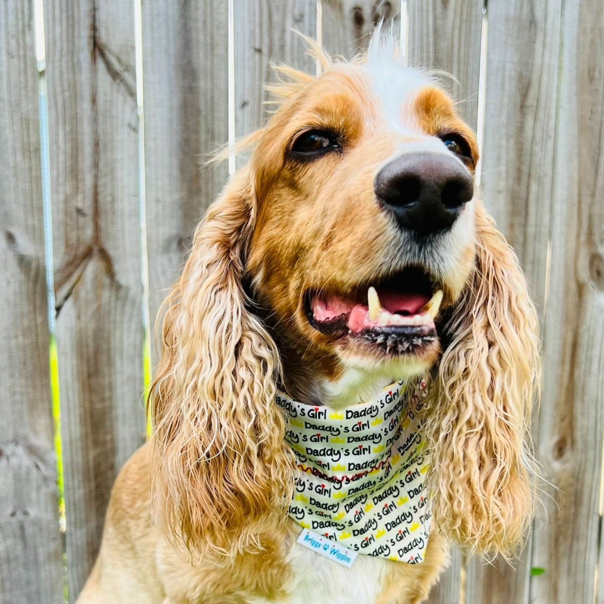 Load image into Gallery viewer, Daddy&amp;#39;s Girl Dog Bandana - Briggs &amp;#39;n&amp;#39; Wiggles
