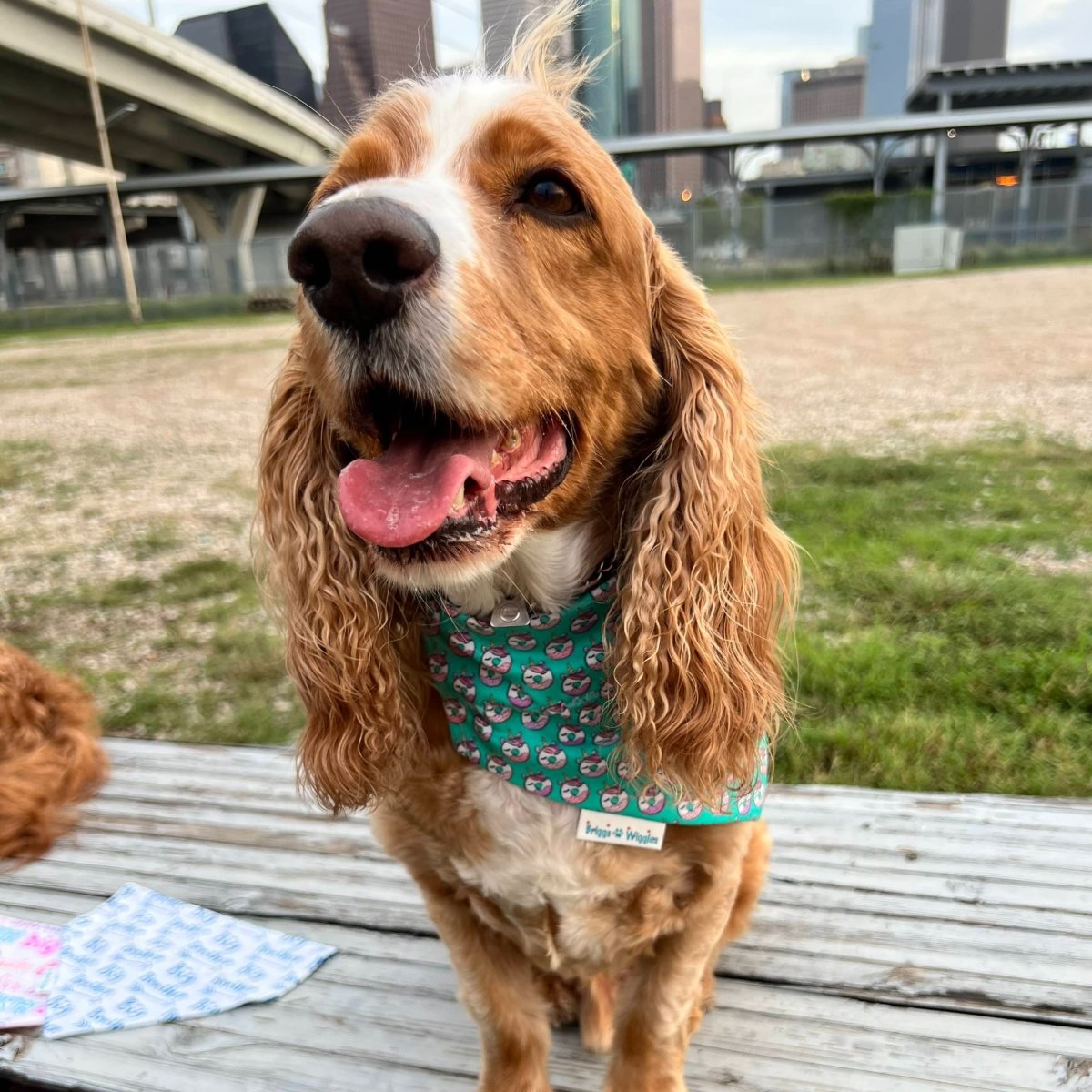 Donuts and Unicorns Dog Bandana - Briggs 'n' Wiggles