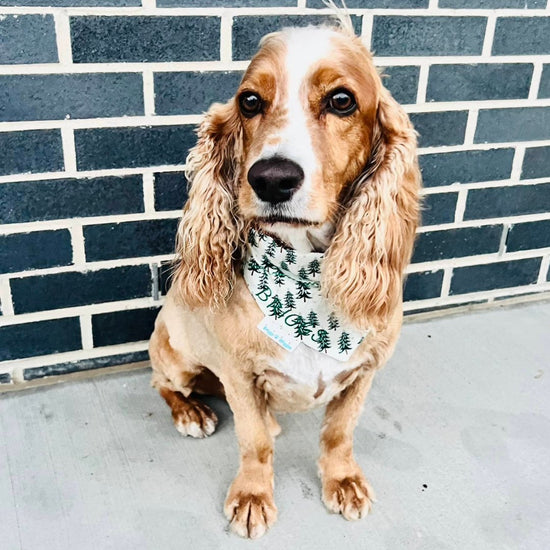 Fir Trees Silver | Dog Bandana - Briggs 'n' Wiggles