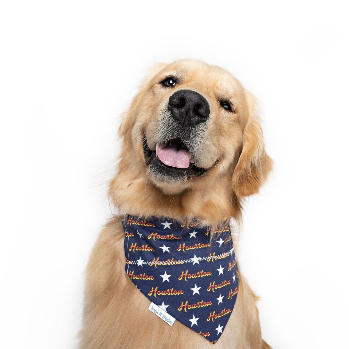For the H Over the Collar Dog Bandana - Briggs 'n' Wiggles