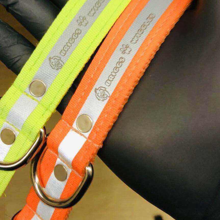 Reflective dog collar designed for evening and early morning dog walks