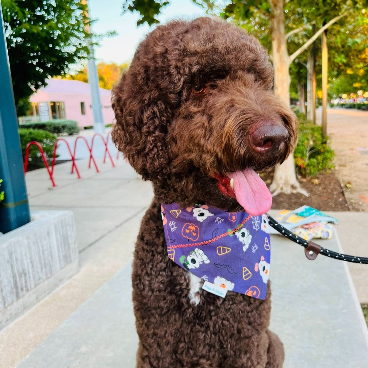 Loyalty Pet Bandana