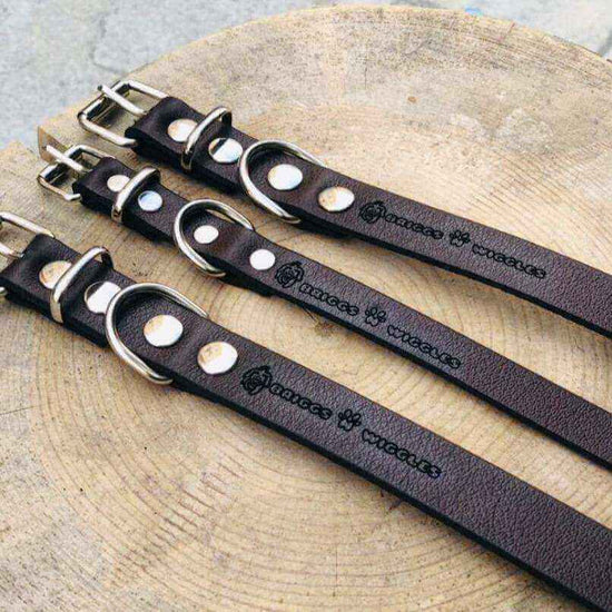 Handmade Leather Dog Collar - Briggs 'n' Wiggles