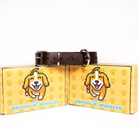 Handmade Leather Dog Collar - Briggs 'n' Wiggles