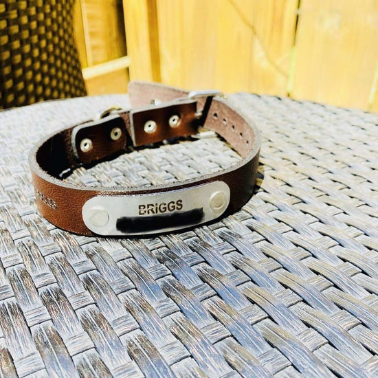 Handmade Leather Dog Collar - Briggs 'n' Wiggles