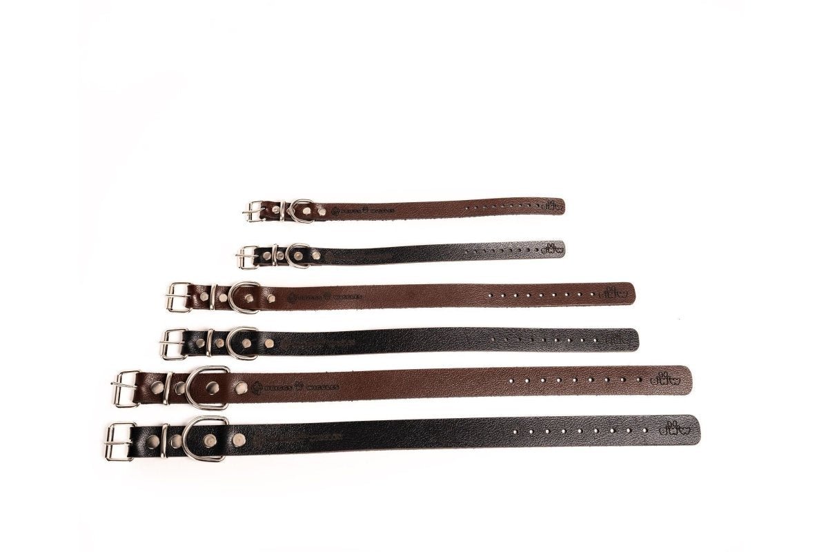 Handmade Leather Dog Collar - Briggs 'n' Wiggles