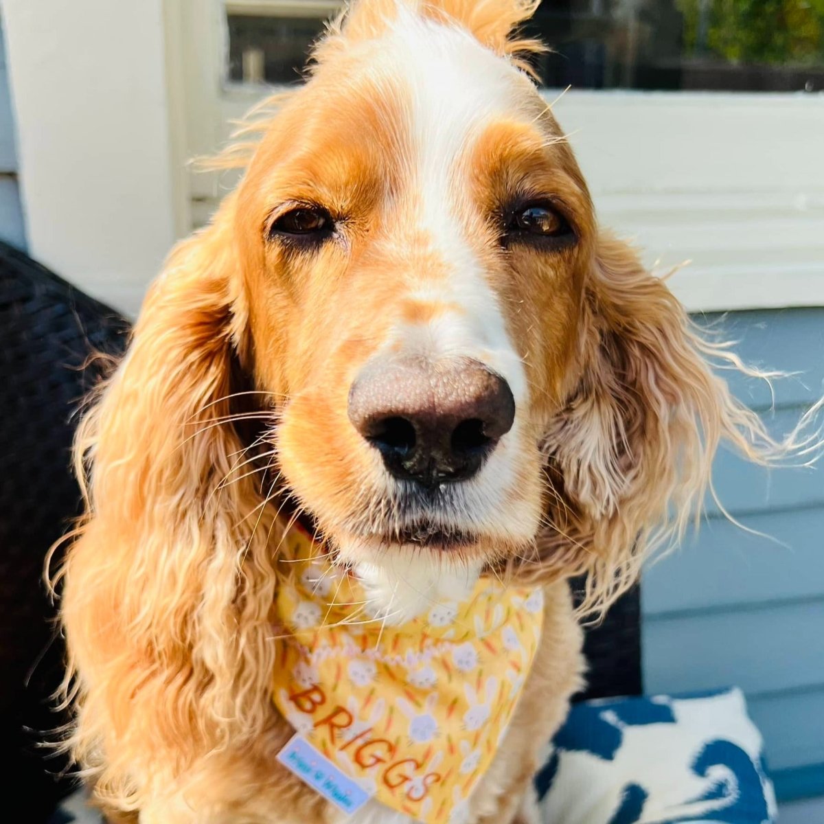 Load image into Gallery viewer, Happy Easter Dog Bandana - Briggs &amp;#39;n&amp;#39; Wiggles
