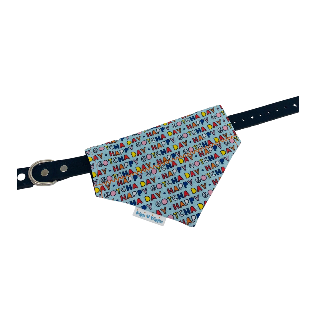 Gotcha Day dog bandana with a vibrant design, ideal for commemorating the special day a rescue dog found their forever home. 