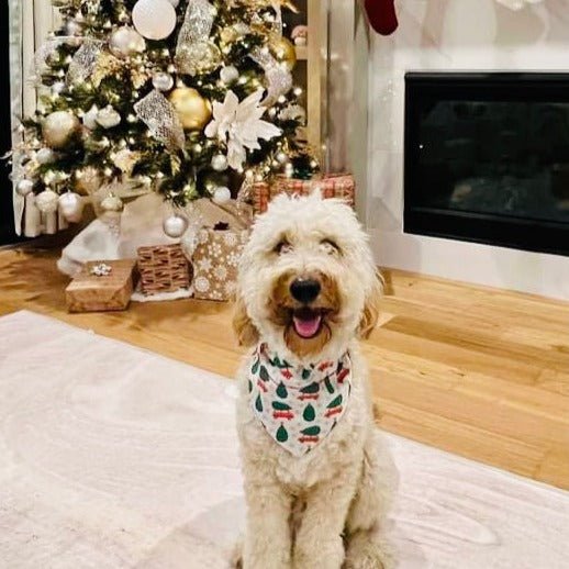 Holiday Christmas Tree and Plaid Dog Bandana - Briggs 'n' Wiggles