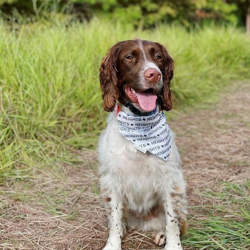 Load image into Gallery viewer, Houston Heights Over the Collar Dog Bandana - Briggs &amp;#39;n&amp;#39; Wiggles
