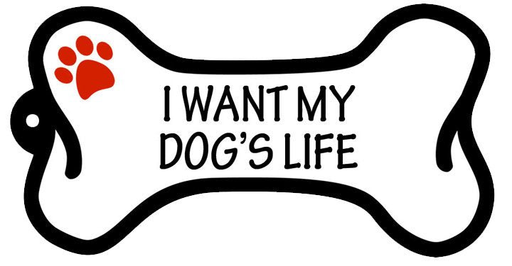 I Want My Dog's Life Bone Shaped Keychain - Briggs 'n' Wiggles