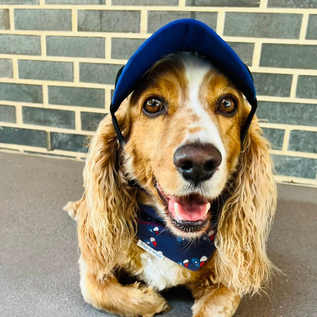 K-9 Cooling Dog Hats- Briggs 'n' Wiggles