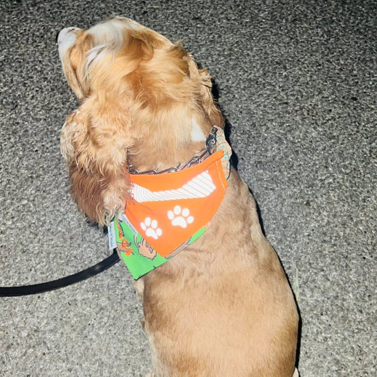 Neon Orange Safety Reflective Dog Bandana - Briggs 'n' Wiggles