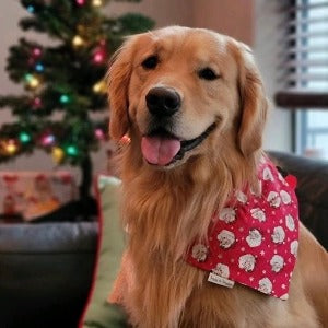 Dog santa online bandana