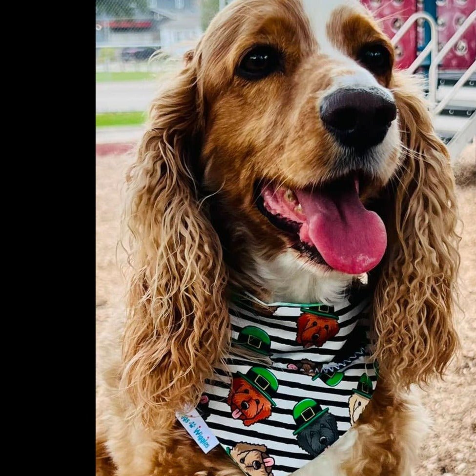Load image into Gallery viewer, St. Patrick&amp;#39;s Day GoldenDoodles Dog Bandana - Briggs &amp;#39;n&amp;#39; Wiggles
