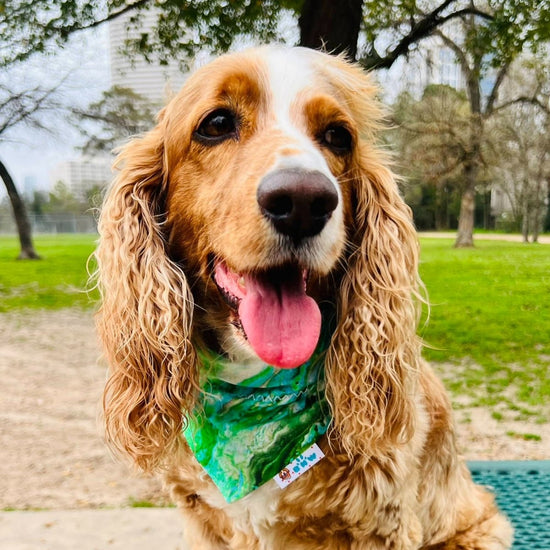 Load image into Gallery viewer, St. Patrick&amp;#39;s Day GoldenDoodles Dog Bandana - Briggs &amp;#39;n&amp;#39; Wiggles
