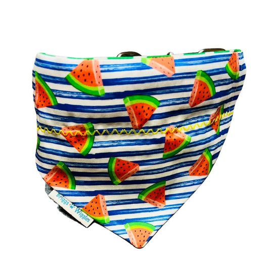 Summer Watermelon Stripe Dog Bandana - Briggs 'n' Wiggles