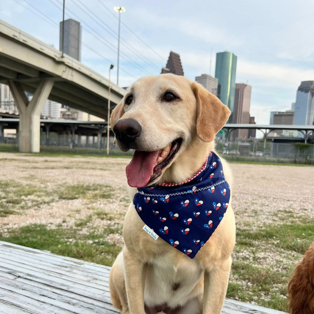 Pets First Texas Tech Red Raiders Reversible Dog Bandana