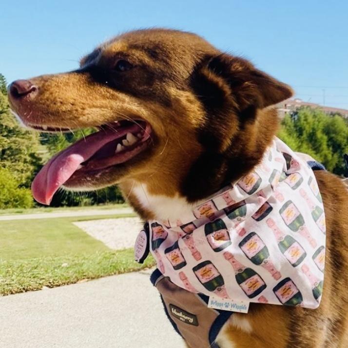 Load image into Gallery viewer, Time for Brunch Dog Bandana - Briggs &amp;#39;n&amp;#39; Wiggles
